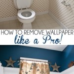 How-to-Remove-Wallpaper-like-a_Pro.jpg