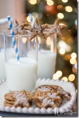 Milk and Cookies for Santa-2, 5 Perfect Christmas Cookies, Beth Bryan, unskinnyboppy, Mohawk Homescapes, holiday cookies