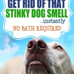doggie-smell-copy.jpg
